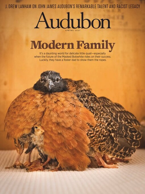 Title details for Audubon Magazine by National Audubon Society - Available